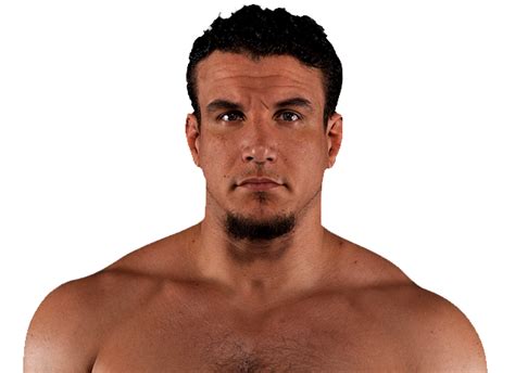 frank mir stats|frank mir ethnicity.